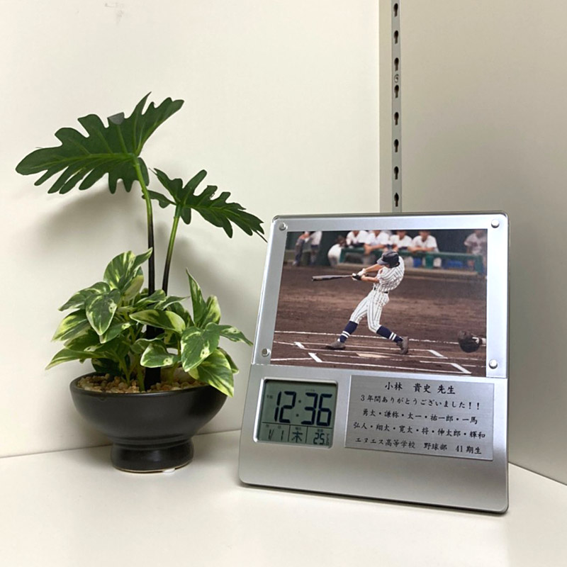 商品紹介 イメージ