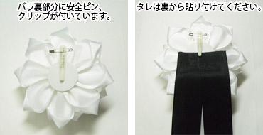 商品紹介 イメージ