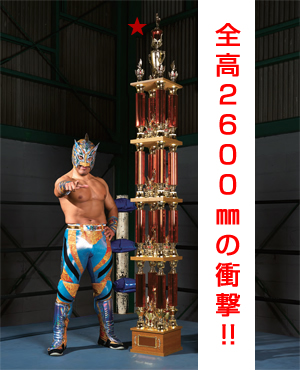 商品紹介 イメージ