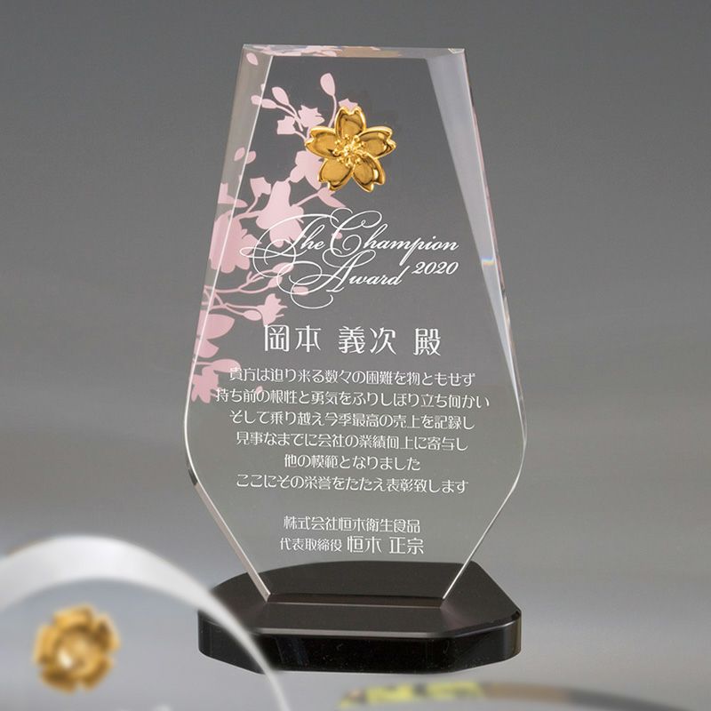 商品紹介 イメージ