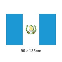 グアテマラ 転写外国旗(90×135cm)　TNA-058-3