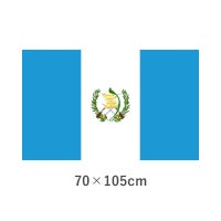 グアテマラ 転写外国旗(70×105cm)　TNA-058-5
