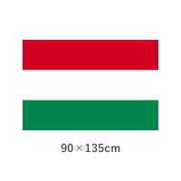 ハンガリー エクスラン外国旗(90×135cm)　TNA-127-3