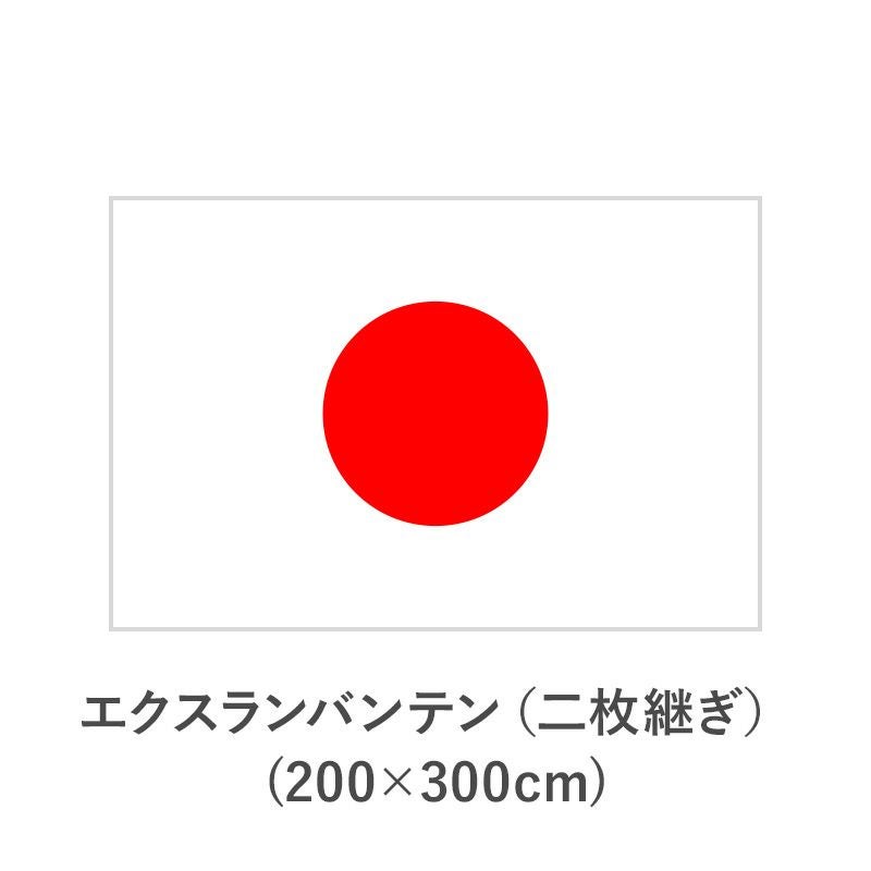 国旗 国旗 エクスランバンテン (90×135cm) 【TNA-KOKKI-320】 | 優勝カップ