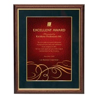 ファインカラーダイレクトプリント 木製額シールド（壁掛け専用） VSH-VOP-54-A （295×230mm）