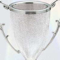 KCクリスタルカップ FUJ-KC-1902