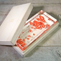 Kiss Mania Trophy キスマニアトロフィー