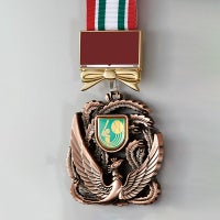 鳳凰メダル・銅-WIN-LFH-80-BRONZE