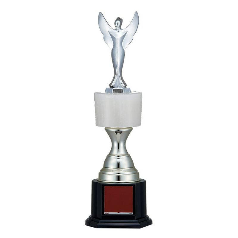 ブロンズトロフィー WIN-VB-4745-B （高さ270mm）