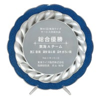  レーザー彫刻皿型表彰楯 Aサイズ（シルバー）